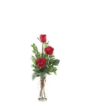 As Shown size, inches height and inches wide.